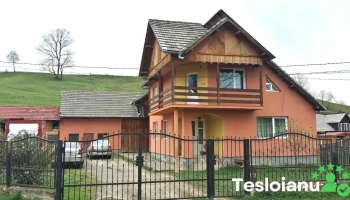 Acriș - Acriș