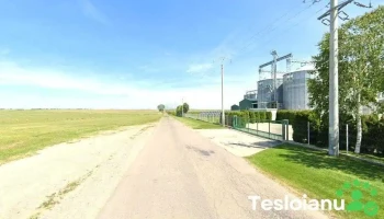 Agroserv Borcea - Borcea