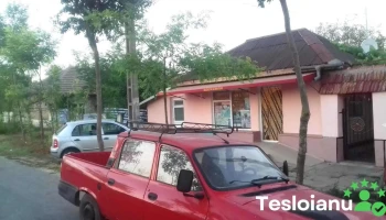 Albești - Albești