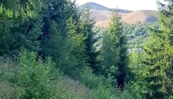 Almaş - Almaş