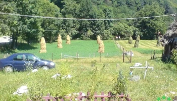 Almașu Mare - Almașu Mare