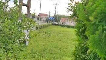 Alămor - Alămor
