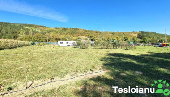 Amenajare Piscicola Tagalandia - Comuna Țaga