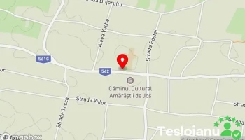 Amărăștii de Jos - Amărăștii De Jos