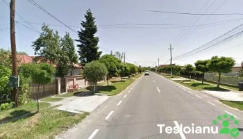 Anco Motors Parts Srl - Ciorogârla