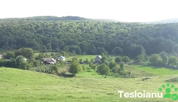 Anghelești - Anghelești