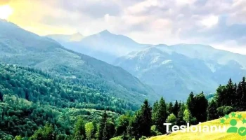 Anieș - Anieș