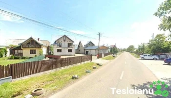 Anila Berchisesti - Berchișești