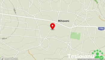 Anila Mihoveni - Mihoveni