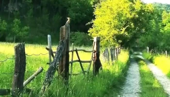 Aninoasa - Aninoasa