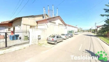Anvelopa stivuitor - Bucov 107110