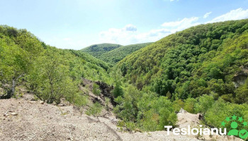 Ariceștii Zeletin - Ariceștii Zeletin