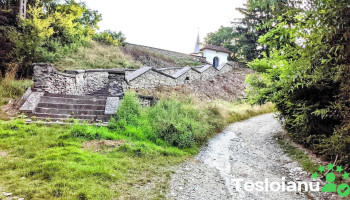 Arpașu de Sus - Arpașu De Sus