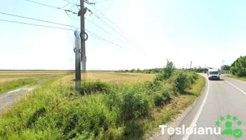 Auto-Luk - Văcărești