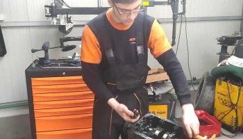 Auto Profesionist - Satu Mare 440247
