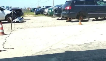 AutoFM - Comuna Bradesti