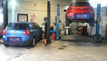 Autopsariuc Service Srl - România