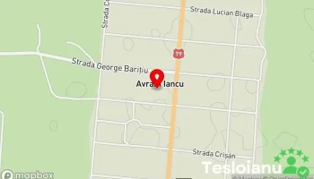 Avram Iancu - Avram Iancu