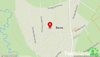 Bacea - Bacea