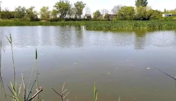 Balta Chișoda - Chișoda