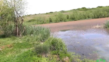 Balta Coșoveni - Romania