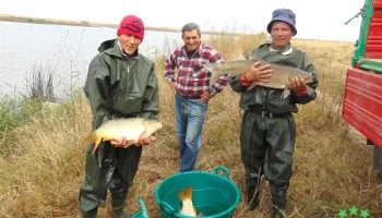 Balta Nănești - Nănești