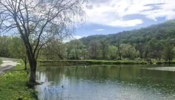 Balta Teregova - Teregova