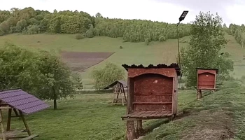 Balta 