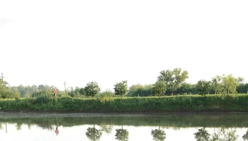 Balta Visa - Finteușu Mare