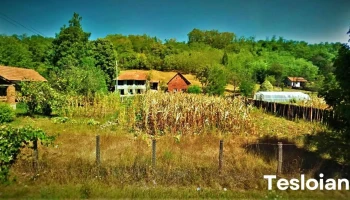 Balșa - Balșa