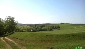 Bârlibaș - Bârlibaș
