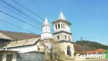 Bârsănești - Bârsănești
