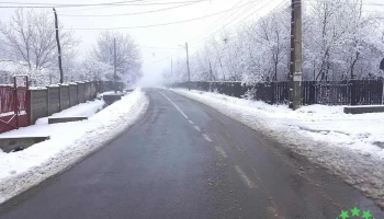 Bâscoveni - Bâscoveni