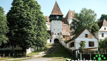 Bassen Pension - Bazna