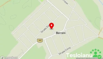Berceni - Berceni