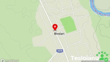 Bivolari - Bivolari