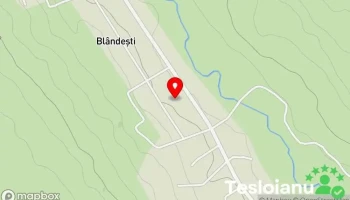 Blândeşti - Blândeşti