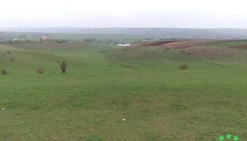 Blânzi - Blânzi