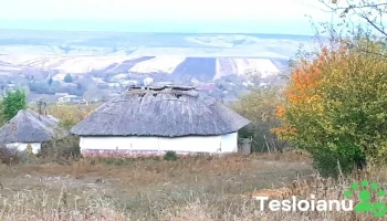 Blejești - Blejești