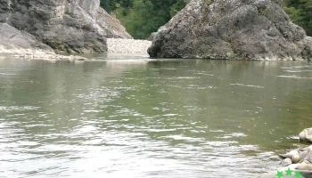 Blocurile de calcar de la Bădila - Viperești