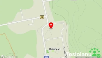 Bobiceşti - Bobiceşti