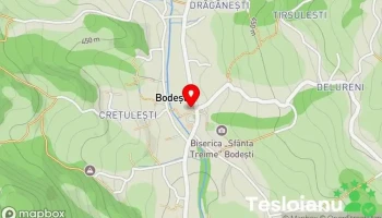 Bodești - Bodești