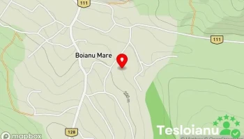 Boianu Mare - Boianu Mare