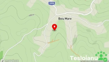 Boiu Mare - Boiu Mare