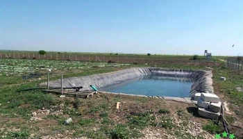 Bolotești - Bolotești
