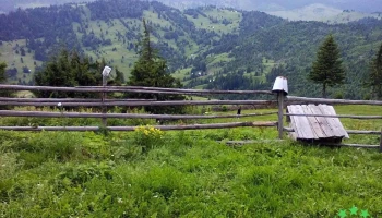 Bolovăniș - Bolovăniș