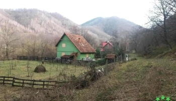 Borlova - Borlova