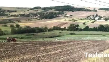 Botorca - Târnăveni