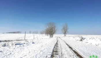 Botoșești-Paia - Botoșești-Paia