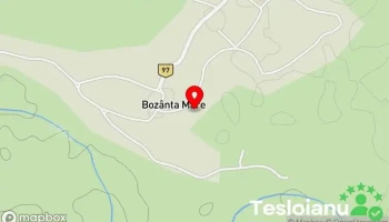 Bozânta Mare - Bozânta Mare